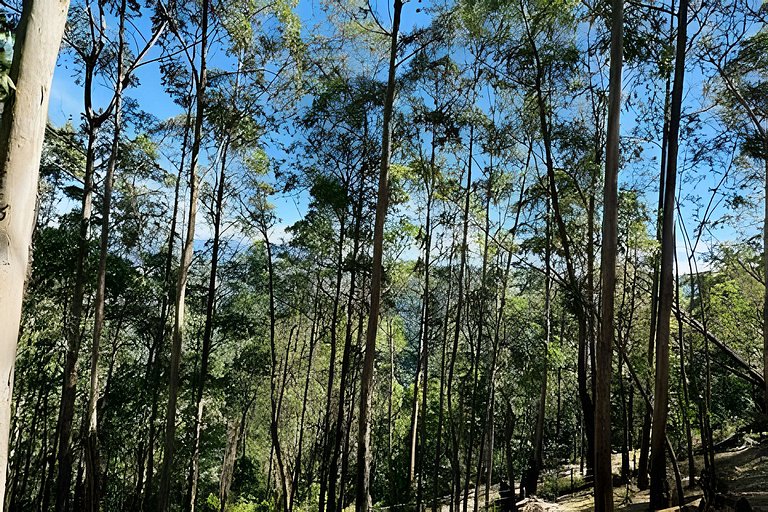 Chalé Neve da Montanha com pôr do sol