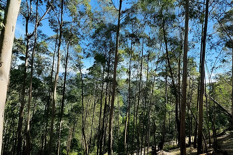 Chalé das Cerejeiras, charme e vista incrível